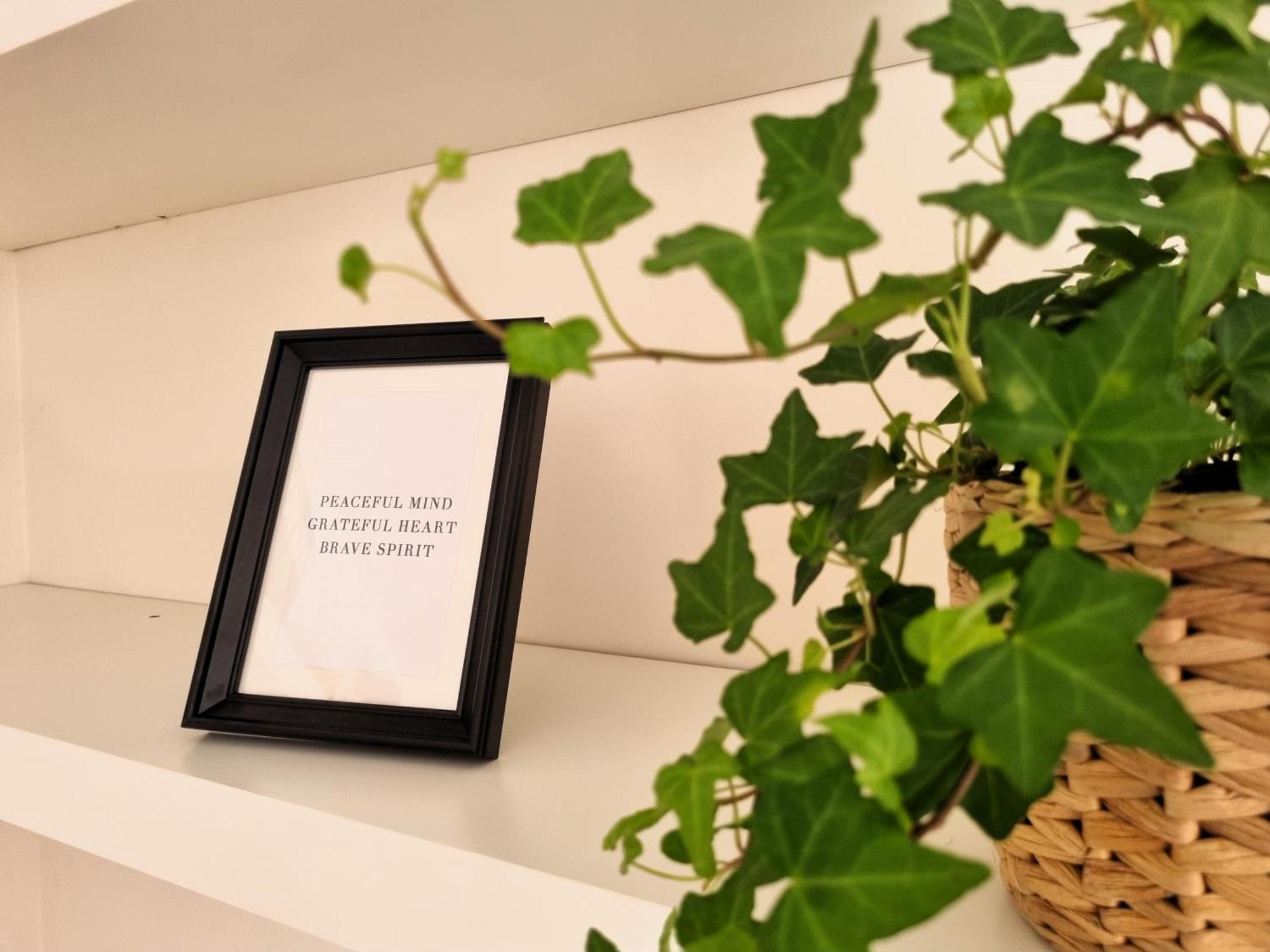 Relais Cassia Rome - Parking, Wi-Fi & Barbecue Vila Exterior foto
